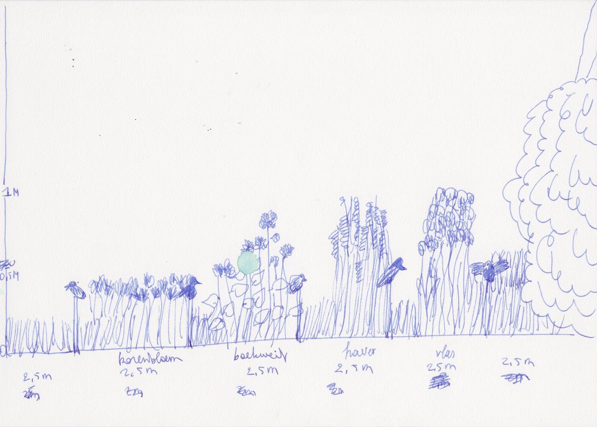Drawing for plant scheme